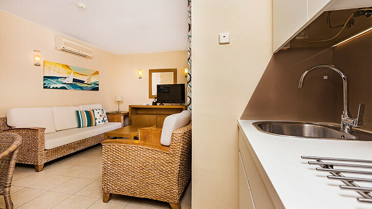 Standard Apartment with French Balcony 